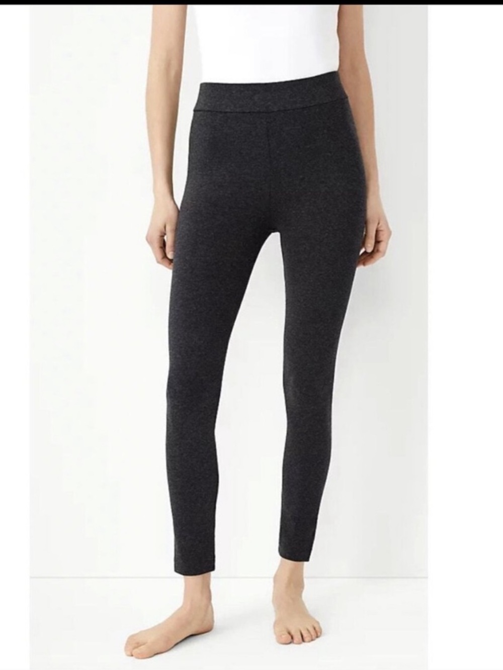 NWOT Ann Taylor Loft Ponte Leggings